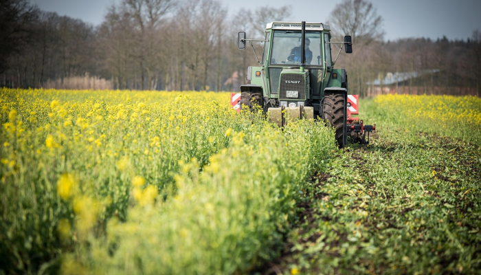 最新疫情江西农民：坚韧与希望的交汇