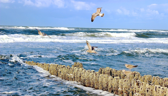 丽口最新疫情：防护与保护，共同抗击艰难时刻