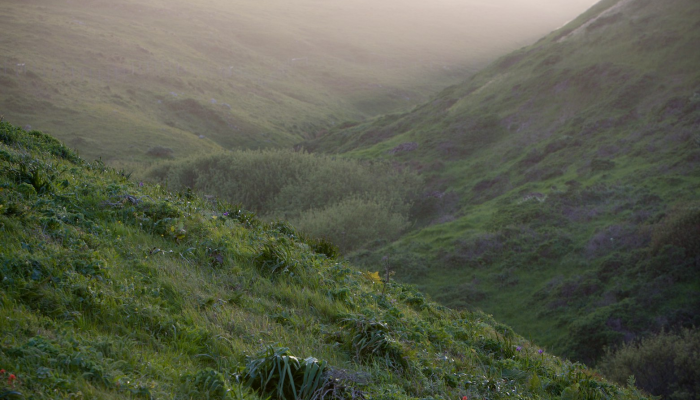 兰州疫情的通报最新:全面了解防控进展与未来展望 兰州疫情的通报最新:全面了解防控进展与未来展望