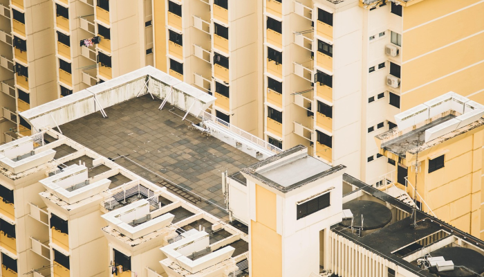 晋江市最新疫情防控图:科学防护,共建安全社区 晋江市最新疫情防控图:科学防护,共建安全社区