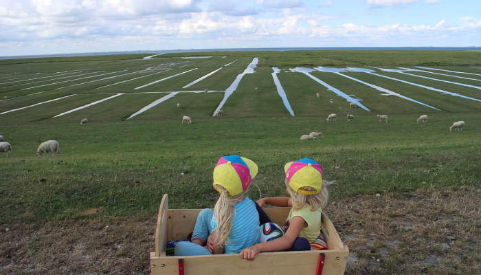 邹平疫情措施最新：保护健康，共同守护